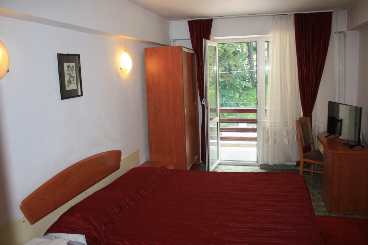Vila Mihail Hotel Busteni Exterior photo