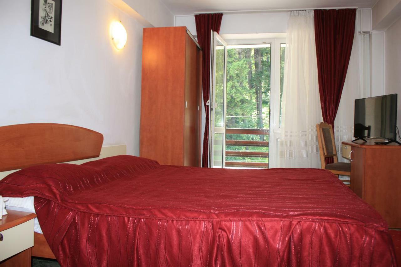 Vila Mihail Hotel Busteni Exterior photo